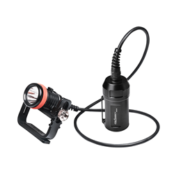 D620 Canister Light